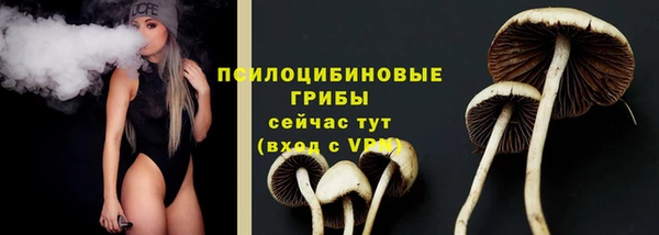 прущий лед Белоозёрский