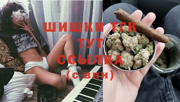 винт Белокуриха