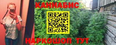 спиды Донской