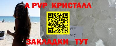спиды Донской