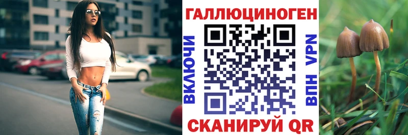 где купить   Малоярославец  Галлюциногенные грибы GOLDEN TEACHER 