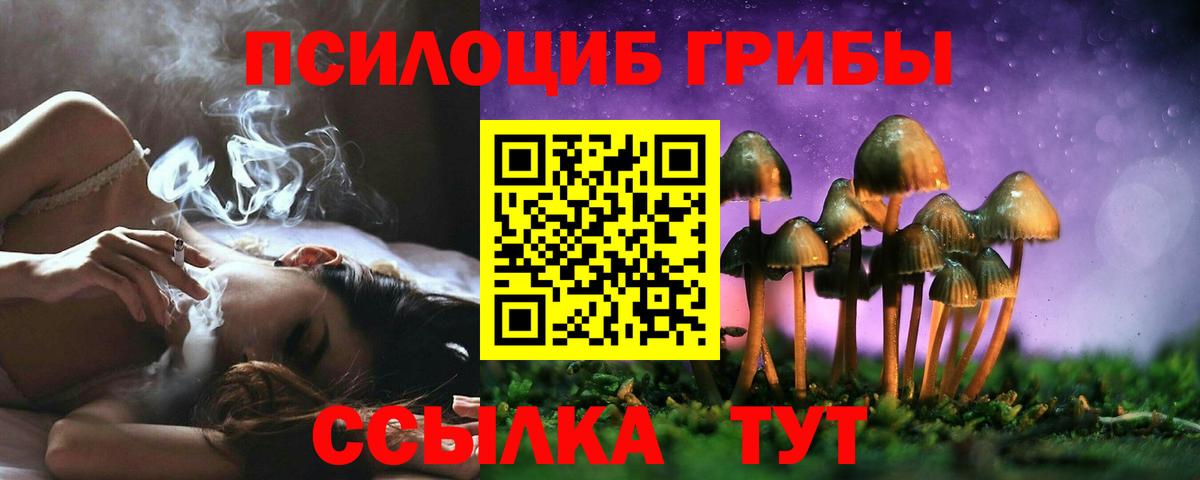 Галлюциногенные грибы Psilocybe  Вход с VPN  Малоярославец 
