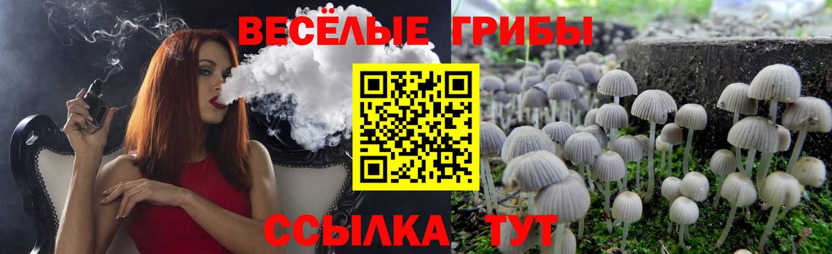 Галлюциногенные грибы MAGIC MUSHROOMS Малоярославец